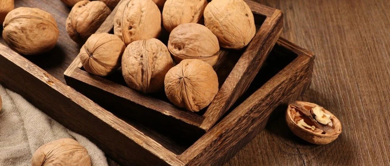 2024 SIAL CUP 咖啡師全能賽圓滿收官！冠亞季軍揭曉！