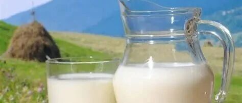 乳業(yè)透視：分化陣痛中轉(zhuǎn)型，價值升維里突圍