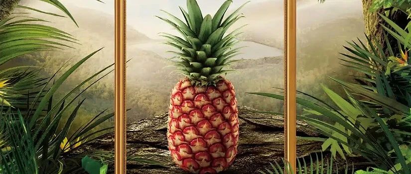 荒誕即商機(jī)：奇葩食品背后的底層邏輯