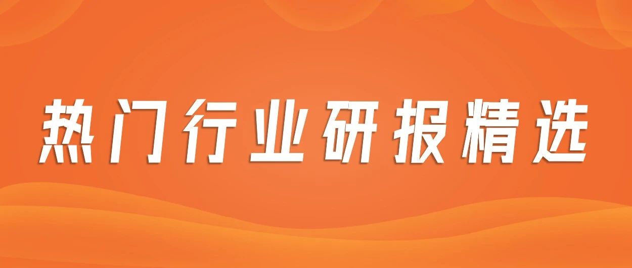 2026年中國保健食品行業(yè)市場前景預(yù)測研究報告