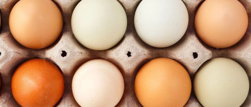 美國雞蛋有多貴？食品飲料品牌如何應(yīng)對原料不確定性 | 英敏特洞察